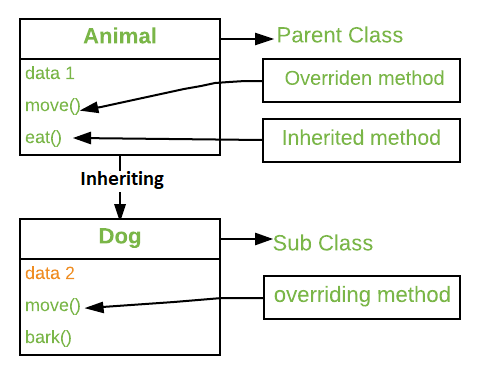 C#如何使用方法覆盖？代码示例和指南