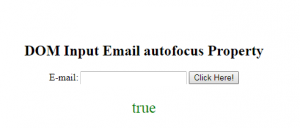 HTML DOM输入电子邮件自动对焦属性