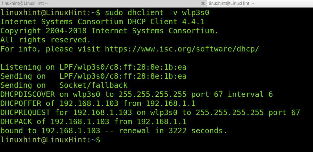 如何在Debian 11上更新DHCP IP？操作步骤图解