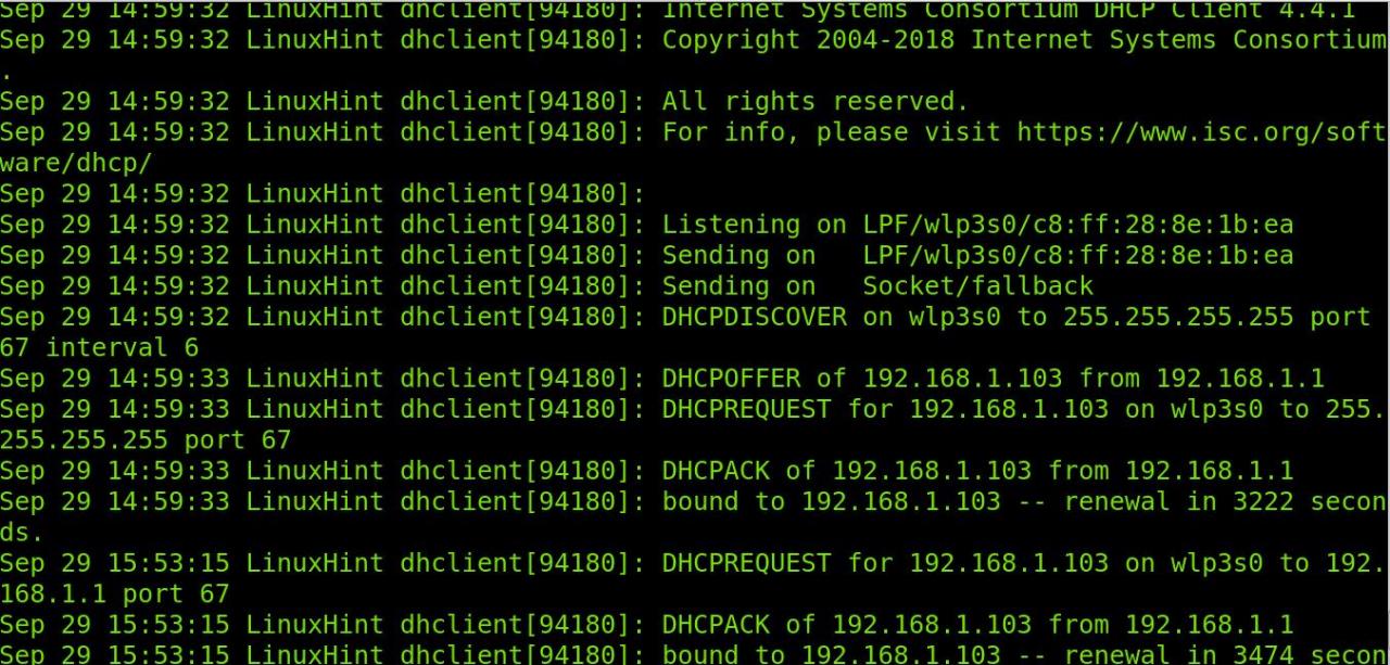 如何在Debian 11上更新DHCP IP？操作步骤图解