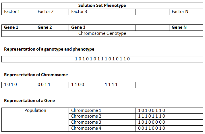染色体与遗传算法的相关性