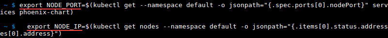 命令的终端输出 export node port 和 ip