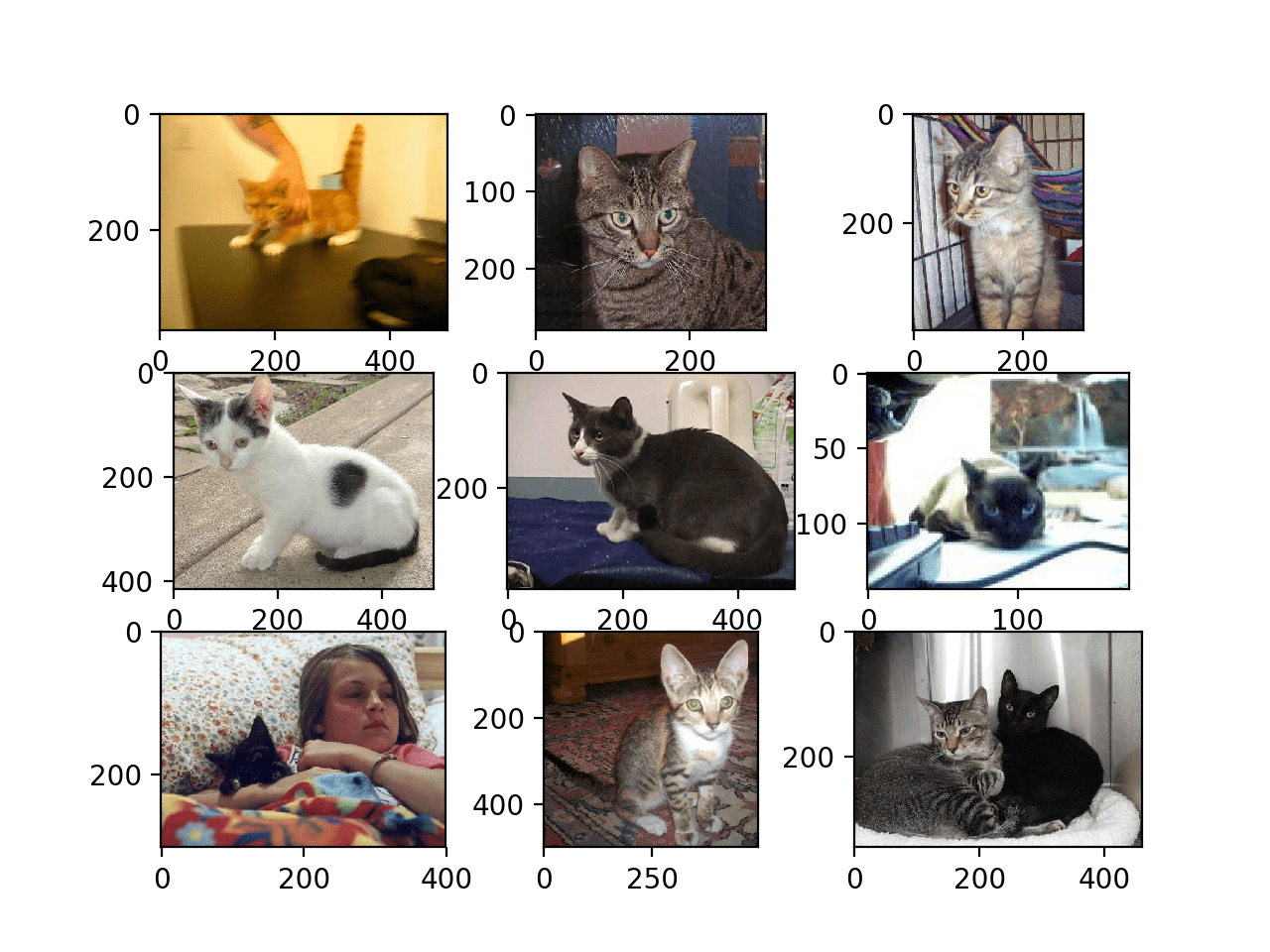 Dogs vs Cats 数据集中前九张猫照片的图