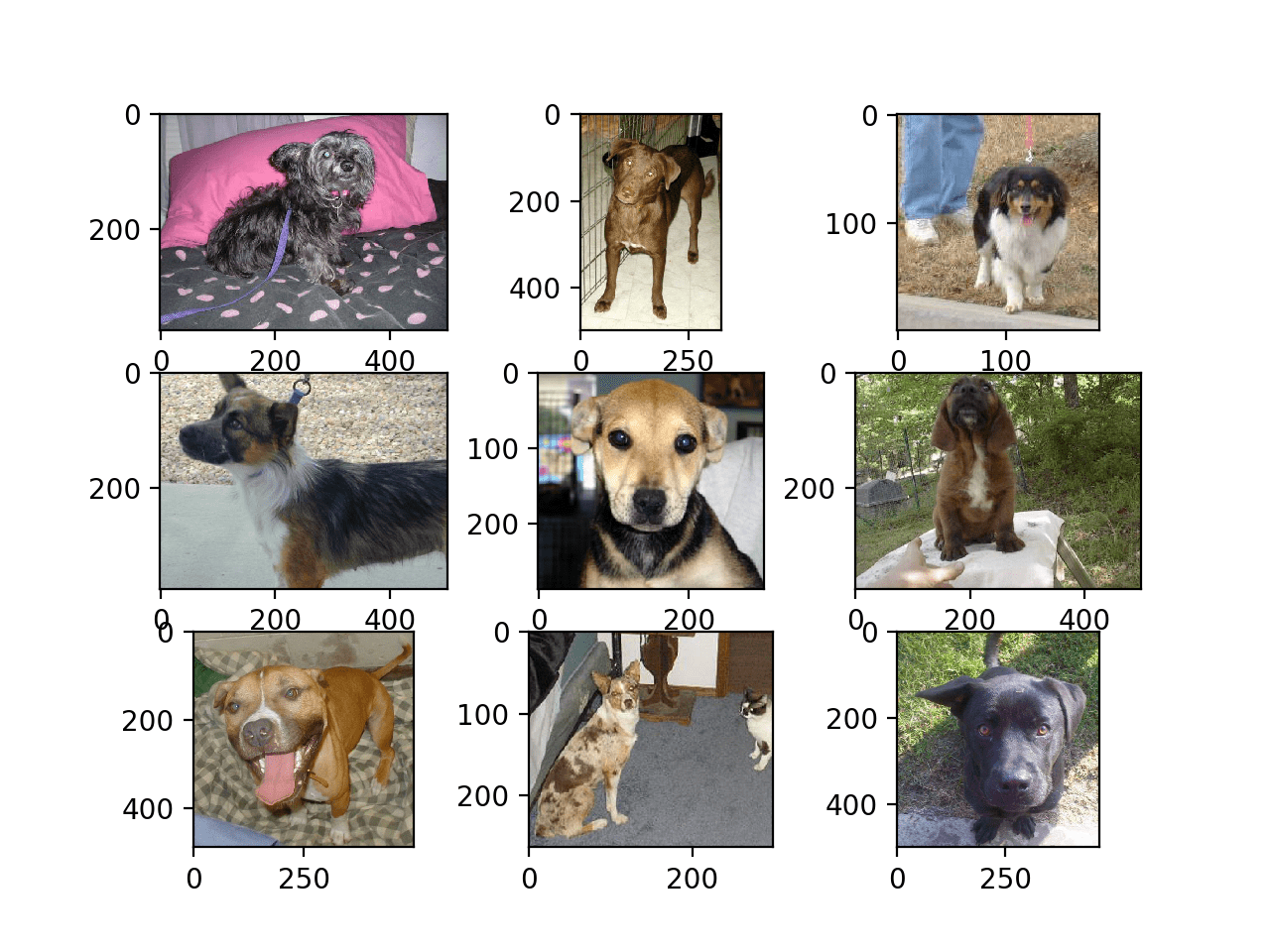 Dogs vs Cats 数据集中狗的前九张照片的图