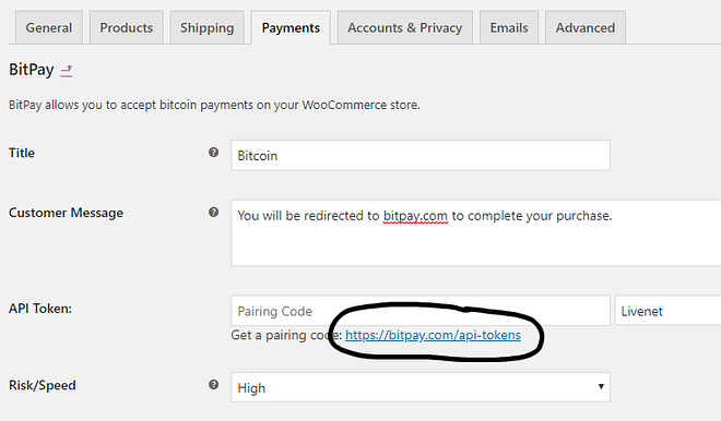 在 WooCommerce 中为 Bitpay 设置生成 API 密钥
