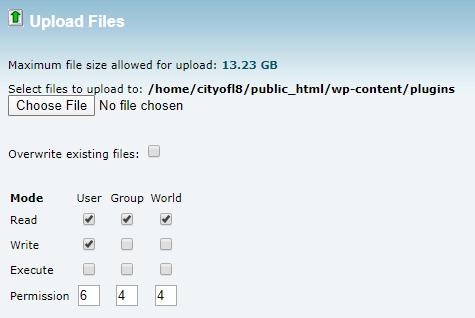 在 cPanel 中上传文件