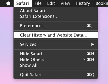 在 Safari 浏览器中清除历史记录和网站数据