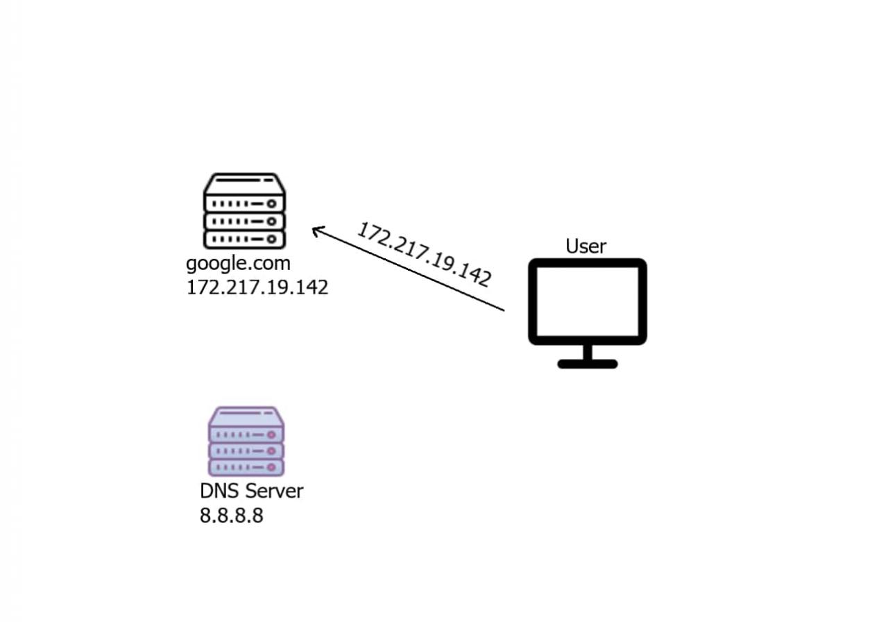 DNS请求后连接到服务器
