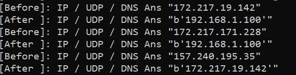 DNS 欺骗输出