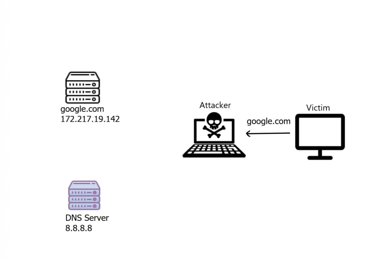 DNS 欺骗请求