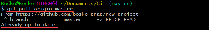 运行 git pull 从远程存储库获取更改。