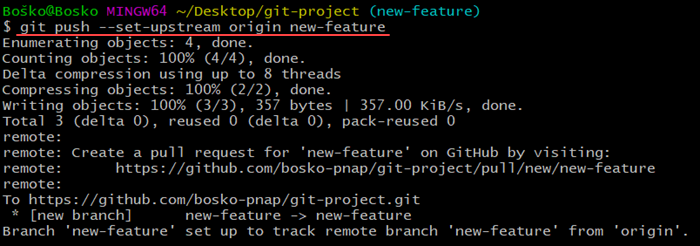 在 Git 中向上游推送分支。