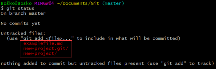 运行 git status 以查看 Git 跟踪哪些文件和目录。