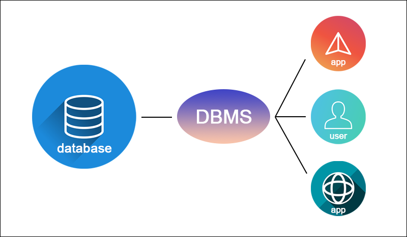 DBMS 介于用户和数据库之间。