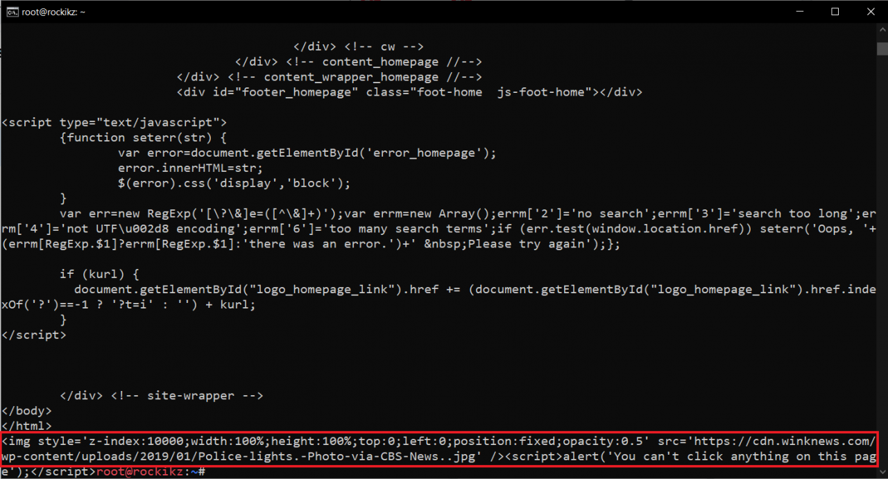 注入的 HTML/JS 代码
