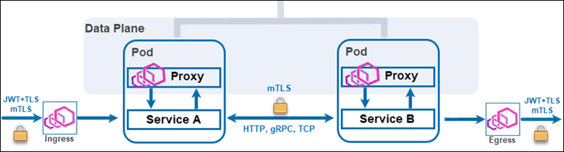 Istio 数据平面。