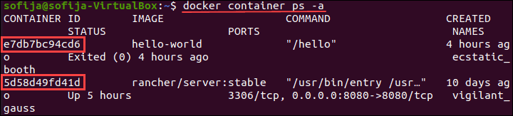 示例列出所有 Docker 容器