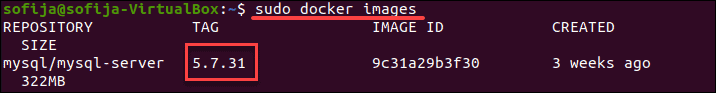 列出 Docker 镜像。