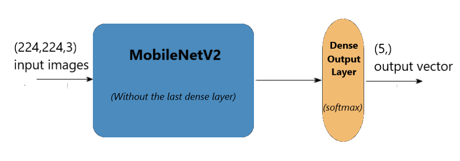 MobileNetV2 模型架构