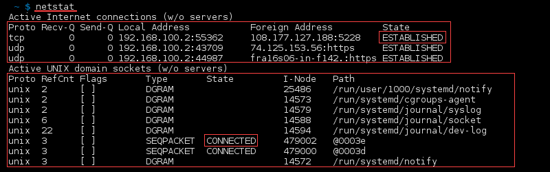 netstat 的终端输出