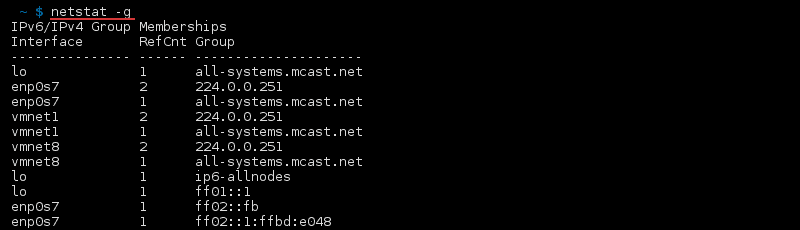 命令 netstat -g 的终端输出