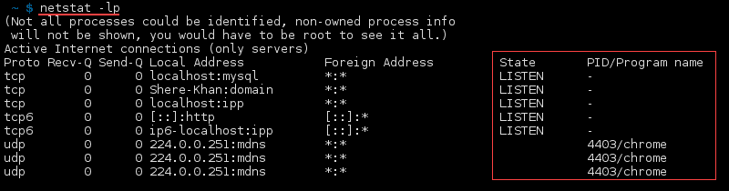 命令 netstat -lp 的终端输出