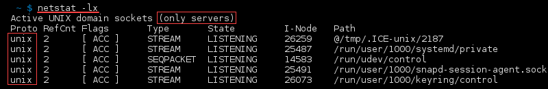 命令 netstat -lx 的终端输出