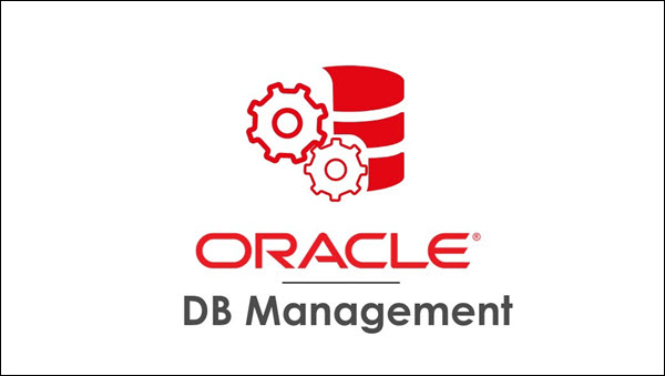 Oracle 数据库管理系统。