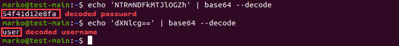 将 echo 的输出传送到 base64 以进行解码