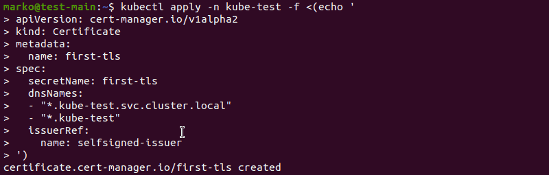 使用 cert-manager 使用 kubectl 命令生成自签名证书