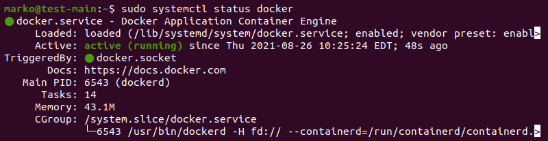 在 Ubuntu 上检查 Docker 状态。