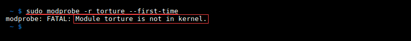 使用 modprobe -r --first-time 错误移除模块的终端输出