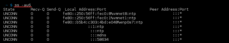 命令 ss -au6 的终端输出