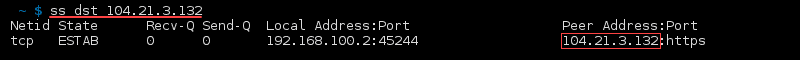 命令 ss dst address 的终端输出