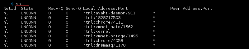 命令 ss -l 的终端输出