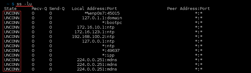 命令 ss -lu 的终端输出