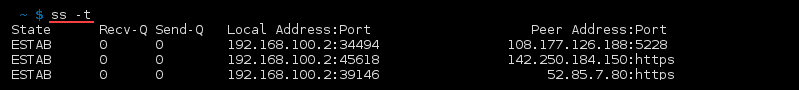 命令 ss -t 的终端输出
