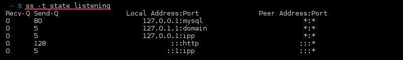 ss -t 状态监听命令的终端输出