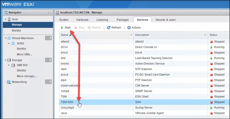 ESXi 主机启动 ssh 服务窗口