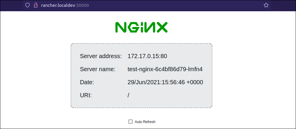 Nginx 演示服务器页面