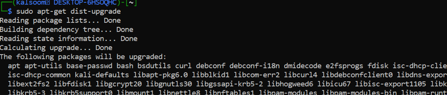 如何在Windows 10上使用Kali Linux应用程序？