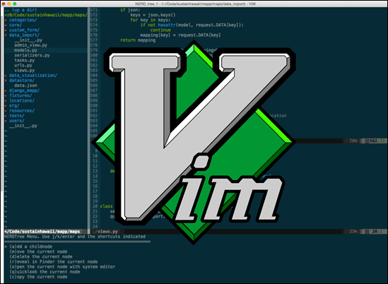 Vim 编辑器，中间带有官方标志