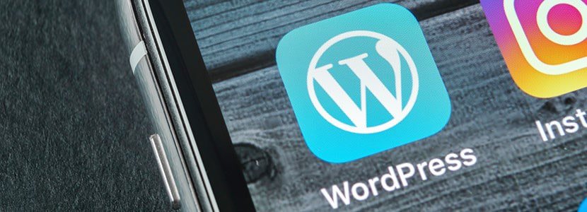 显示 wordpress 标志的手机