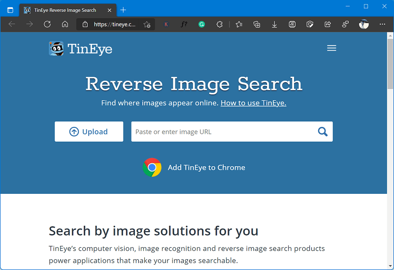 用于反向图像搜索的13个最佳面部图像搜索引擎