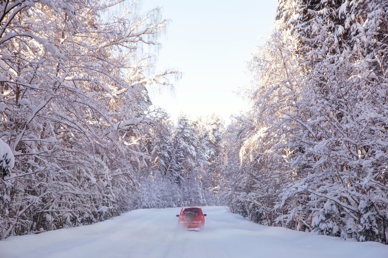 驾驶在一个晴天的红色汽车在有被雪盖的路的冬天森林里