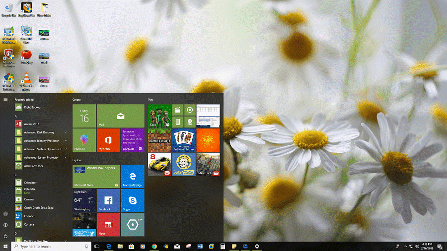 适用于 Windows 10 桌面的美丽花朵主题