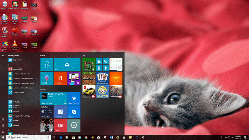 适用于 windows 10 的猫主题动物主题