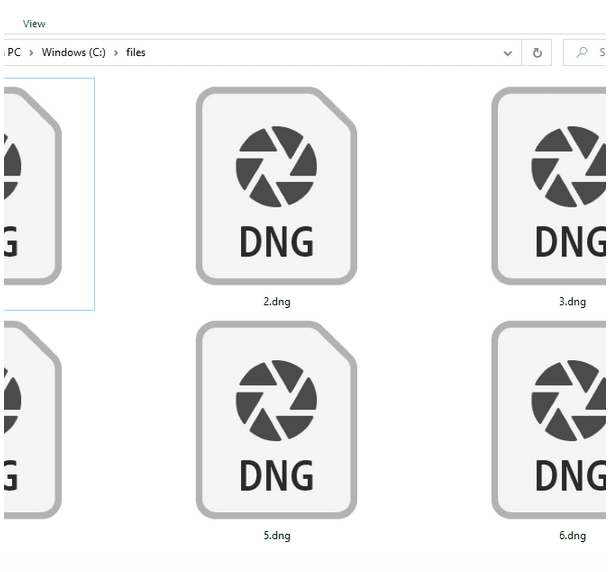 在 Windows 上恢复 DNG 文件