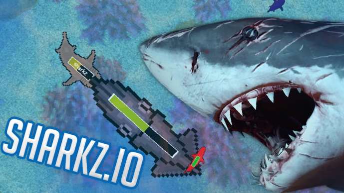 Sharkz.io