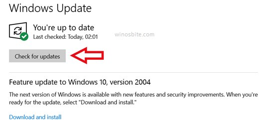 检查 Windows 中的更新